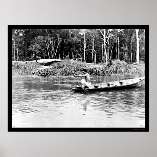 Shooting Fish on the Amazon River 1902 Poster (Vorne)