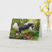 "Shooting Off" Gruß Karte (Gelbe Blume)