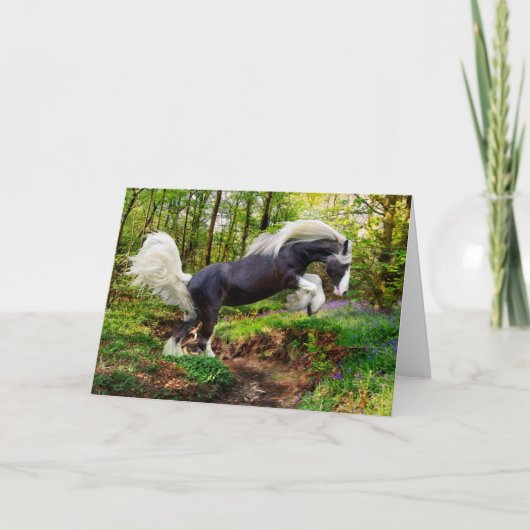 "Shooting Off" Gruß Karte (Vorderseite)