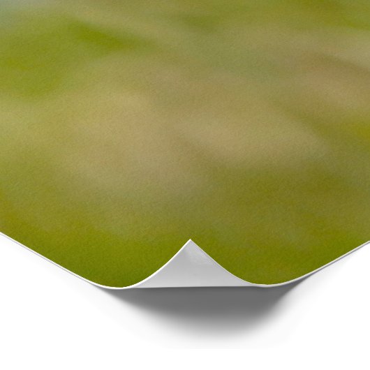 Shooting Star Poster (Ecke)