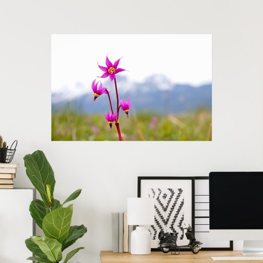 Shooting Star Poster (Heimbüro)