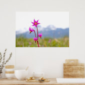 Shooting Star Poster (Küche)