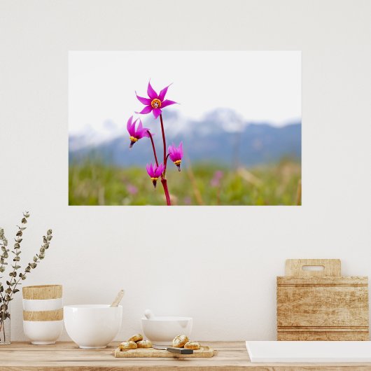 Shooting Star Poster (Küche)