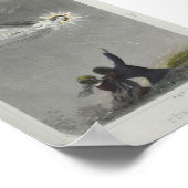 Shooting Star Poster (Ecke)