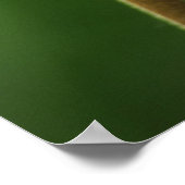 Shooting Star Wildblume, Kalifornien, USA Poster (Ecke)