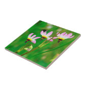 Shooting Star-Wildblumen im Mission Trails Park Fliese (Seite)