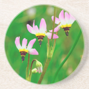 Shooting Star Wildblumen im Mission Trails Park Getränkeuntersetzer