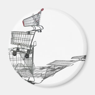 ShoppingInBalance022111 Magnet