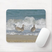 Shore Bird Trio Mousepad (Mit Mouse)