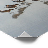 Shore Birds Poster (Ecke)