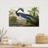 Shore Lark - Wildlife Painter John Audubon Poster (Küche)