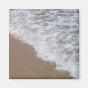 Shore Magnet