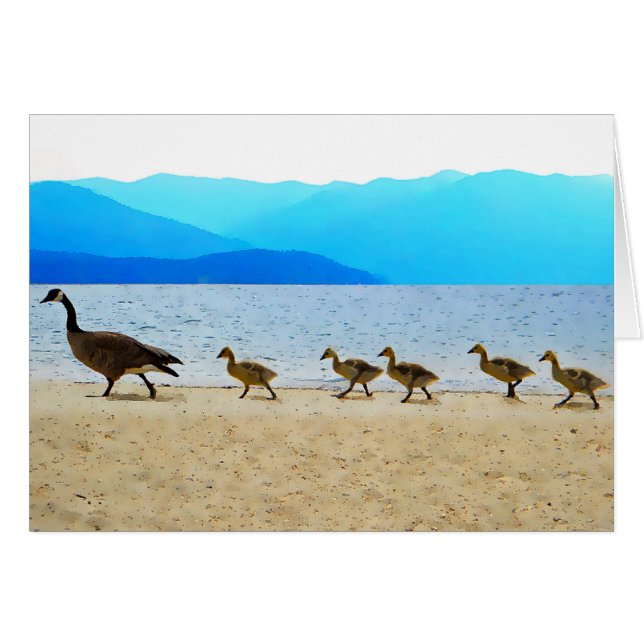 Shore Patrol Canada Geese (Vorderseite (Horizontal))