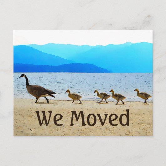 Shore Patrol Canada Geese Ankündigungspostkarte (Vorderseite)