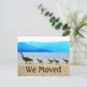 Shore Patrol Canada Geese Ankündigungspostkarte (Stehend Vorderseite)