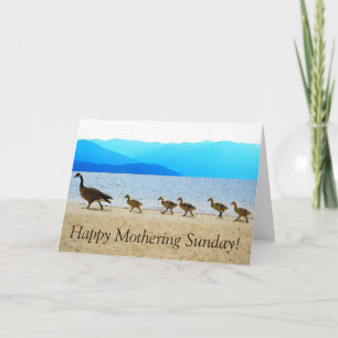Shore Patrol Canada Geese Karte