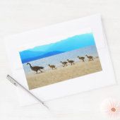 Shore Patrol Canada Geese Rechteckiger Aufkleber (Umschlag)