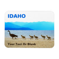 Shore Patrol - Gänse aus Kanada