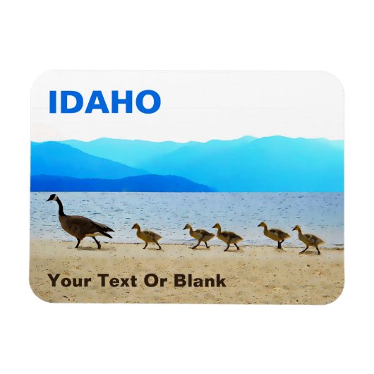 Shore Patrol - Gänse aus Kanada Magnet (Horizontal)