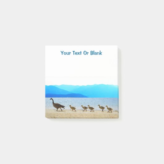 Shore Patrol - Gänse aus Kanada Post-it Klebezettel (Vorderseite)