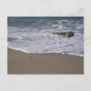 Shore Postcard Postkarte