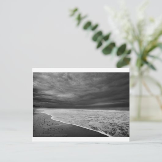 Shore Postkarte (Stehend Vorderseite)