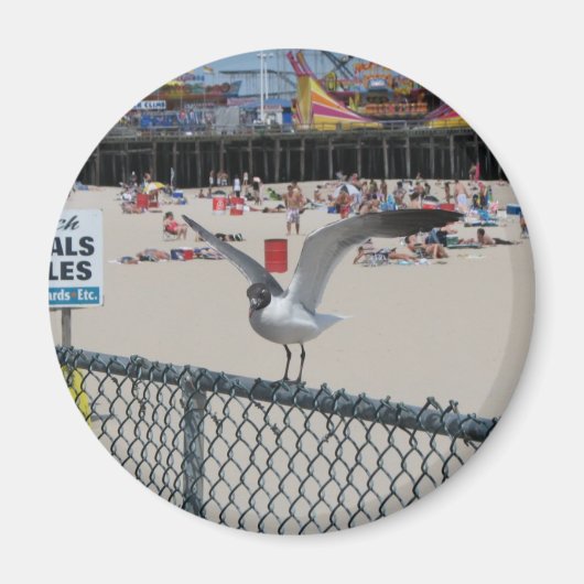 Shore Thing Magnet (Vorne)