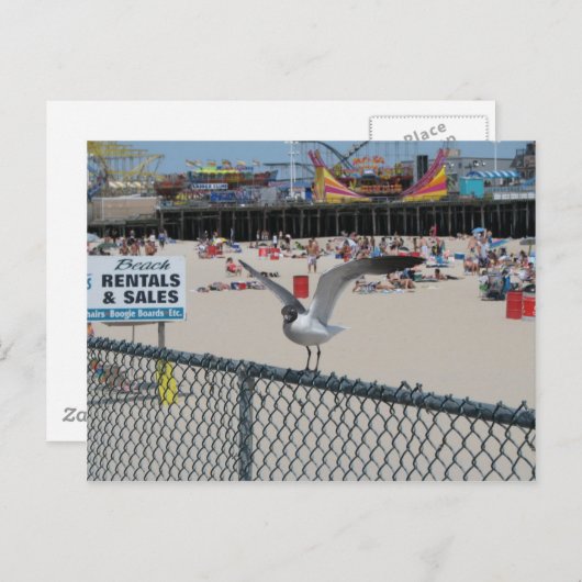 Shore Thing Postkarte (Vorne/Hinten)