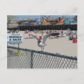 Shore Thing Postkarte (Vorderseite)