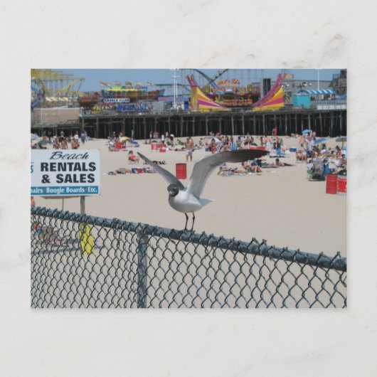 Shore Thing Postkarte (Vorderseite)