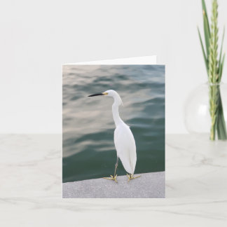 Shore-Vogel bei Siesta Key - leere Notizkarte Karte