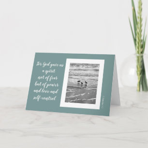 Shore-Vögel, Schriftzeichen von Timothy (leer) Karte