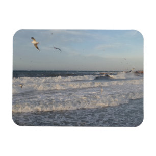 Shore & Waves & Seagulls 3"x4"-Magnet Magnet