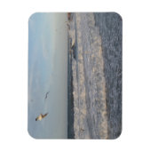 Shore & Waves & Seagulls 3"x4"-Magnet Magnet (Vertikal)