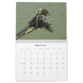 Shorebirds - 2010 kalender (Mär 2027)