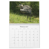 Shorebirds - 2010 kalender (Feb 2027)