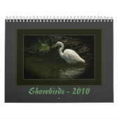 Shorebirds - 2010 kalender (Titelbild)