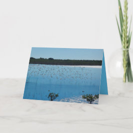 Shorebirds auf der Flügel-Gruß-Karte Karte