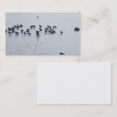 Shorebirds auf einer See-Visitenkarte Visitenkarte (Vorne/Hinten)
