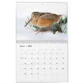 Shorebirds-Kalender Kalender (Mär 2026)