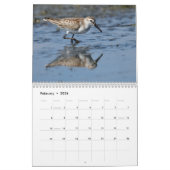 Shorebirds-Kalender Kalender (Feb 2026)