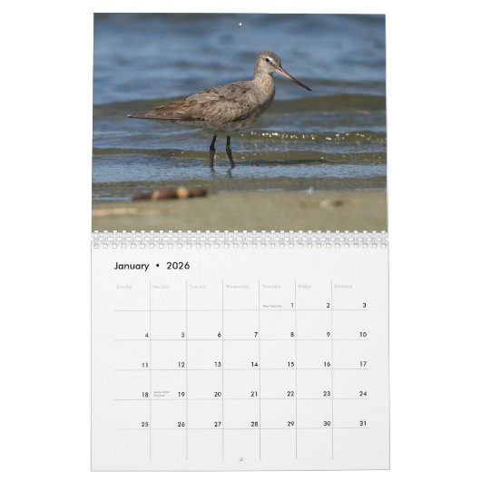 Shorebirds-Kalender Kalender (Jan 2026)