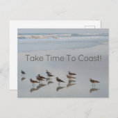 Shorebirds mit Coast Comment Postkarte (Vorne/Hinten)