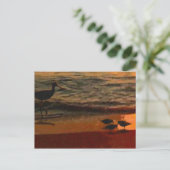 Shorebirds Postkarte (Stehend Vorderseite)
