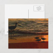 Shorebirds Postkarte (Vorne/Hinten)