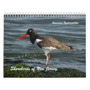 Shorebirds von New-Jersey Kalender