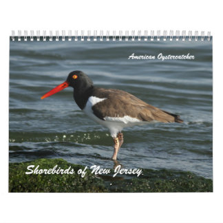 Shorebirds von New-Jersey Kalender