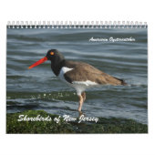Shorebirds von New-Jersey Kalender (Titelbild)