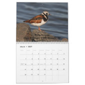 Shorebirds von New-Jersey Kalender (Mär 2027)