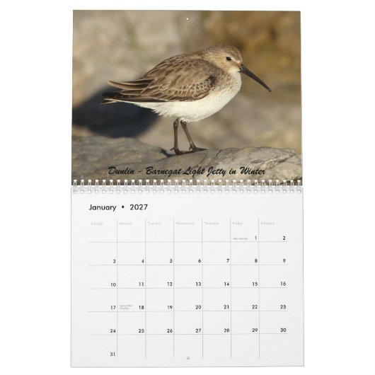 Shorebirds von New-Jersey Kalender (Jan 2027)